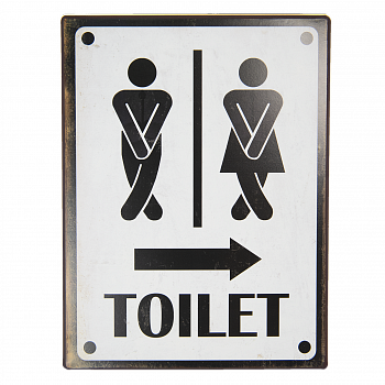 Табличка декоративная Toilet Casaentera CE03-6Y3953 260х350