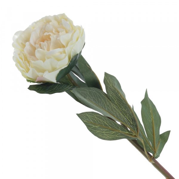 16349_52acabf495d55d9c208a27206fa2459c