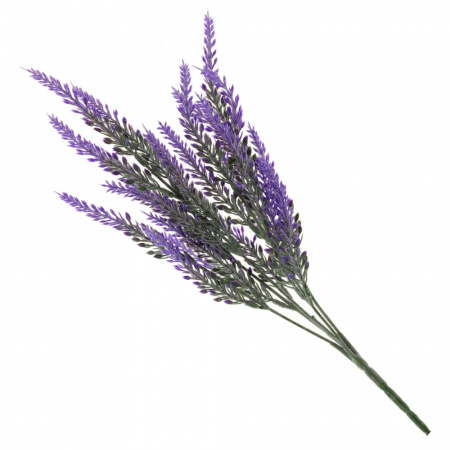 19739_4ff4a20fa4a732a637428cf0dd2d1d07
