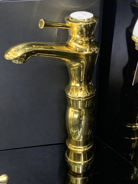 LVBBRL201300ORO_1