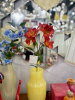 IMG_2056 (2)