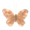 21009_bc1c19a71cbf2f3b95d22fbe7e32fc14
