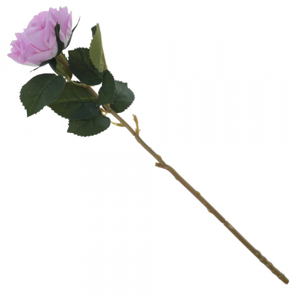16335_0500d573c343c3b88e00e156904f4b72