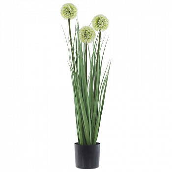 Цветочная композиция "Аллиум", L12,5 W12,5 H79 см