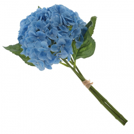 16288_9ea74793c931178e9e06f6d0b59db418