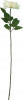 7123_A0008-CREA_5