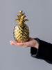 15564_1749-GOLD_10