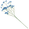 16582_48b5afc85f3d393865aed88ffa54eebe