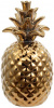 5494_1747-GOLD