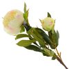 16504_961c9ad35df27a7ba9fc07db45cff05a