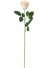 18244_A0001-BLUS
