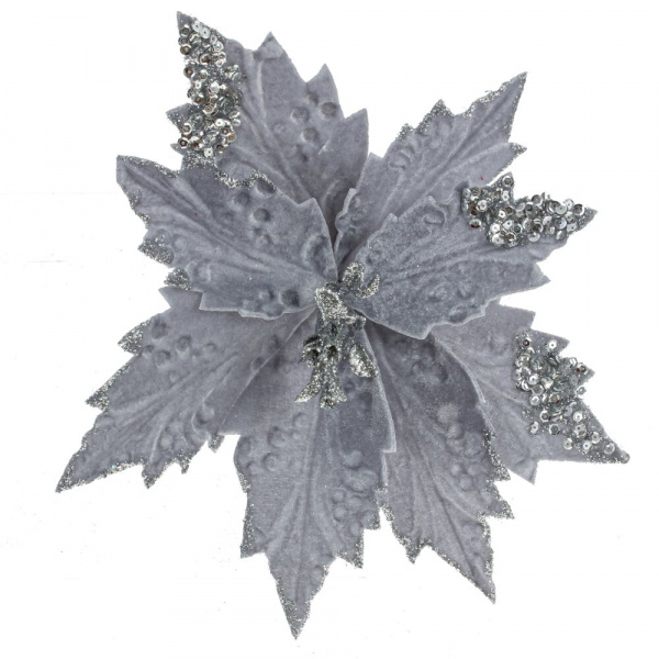 4255_65dc088168d6d12cd9792e4b687ce910