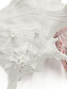 22008_C5470-WTRD_1