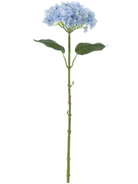 31422_A0015-BLUE