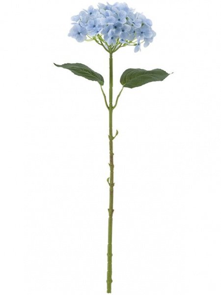 31422_A0015-BLUE