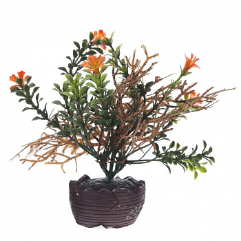 Цветочная композиция, L14 W12 H12,5 см