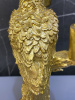 49868_15