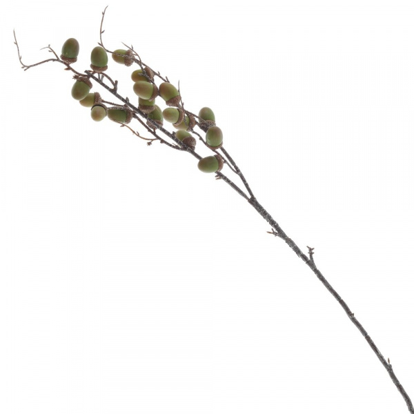 34489_426d50d2443580d00d4722848562f180
