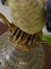 16612_X3497E_8