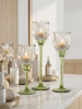 12387_B0043-CLGR_8