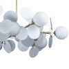 10008_12W_5