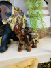 IMG_1125 (1)