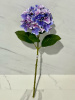 IMG_7442 (3)