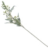 45923_6465ad5f70124d9cf3f2a445132614df