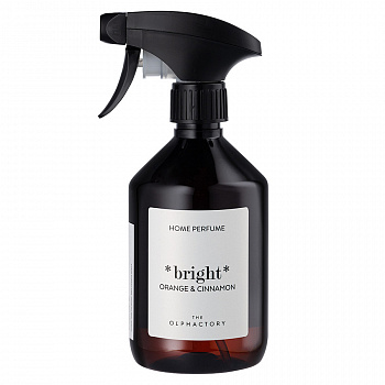 Спрей для дома Ambientair The Olphactory Bright Orange&Cinnamon SP500NCTO 500 мл
