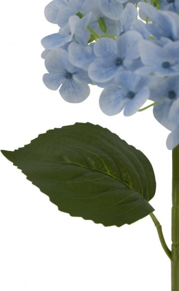 31425_A0015-BLUE_3