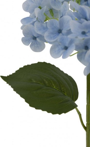 31425_A0015-BLUE_3
