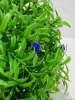 IMG_4449 (3)