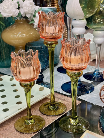 TULIP orange_1