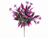 ChatGPT Image 30 июл. 2026 г., 23_53_13