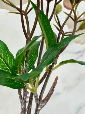 IMG_8532 (3) (1)