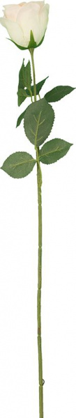 31297_A0001-BLUS_4