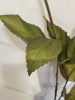 FLS414_9