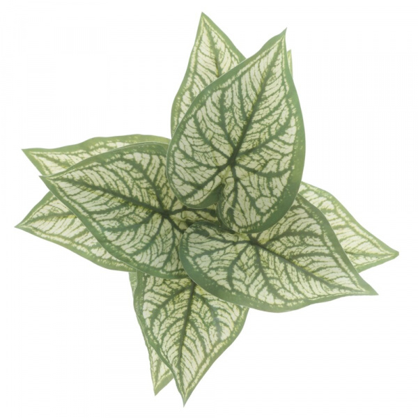 31530_8335724d3f3adddfb9d08c38380731c6
