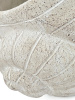 22126_C5485_6