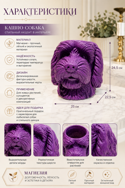 ChatGPT Image 8 мая 2026 г., 17_16_27