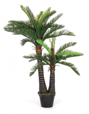 0172628_1