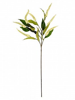 Цветы декоративные BIZZOTTO CASCARA WHITE 0171550 830h