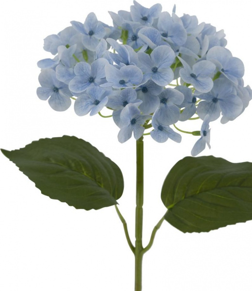 31424_A0015-BLUE_2