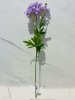 IMG_4012 (4)