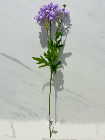 IMG_4012 (4)