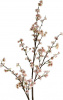 31499_A0023-PINK_11