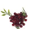 34509_5e20c5fc61950d0e7ab0dc084a05f810