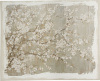 19264_32231