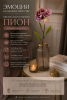 ChatGPT Image 25 июн. 2026 г., 21_33_22