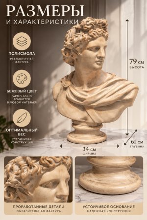 Размеры и характеристики классического бюста